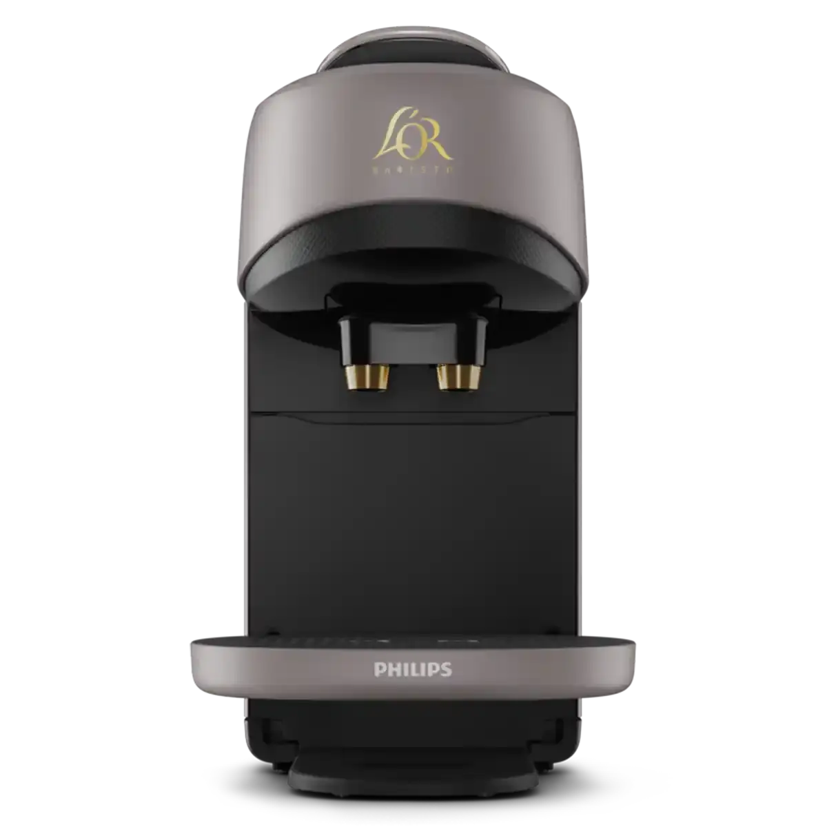 Barista Absolu