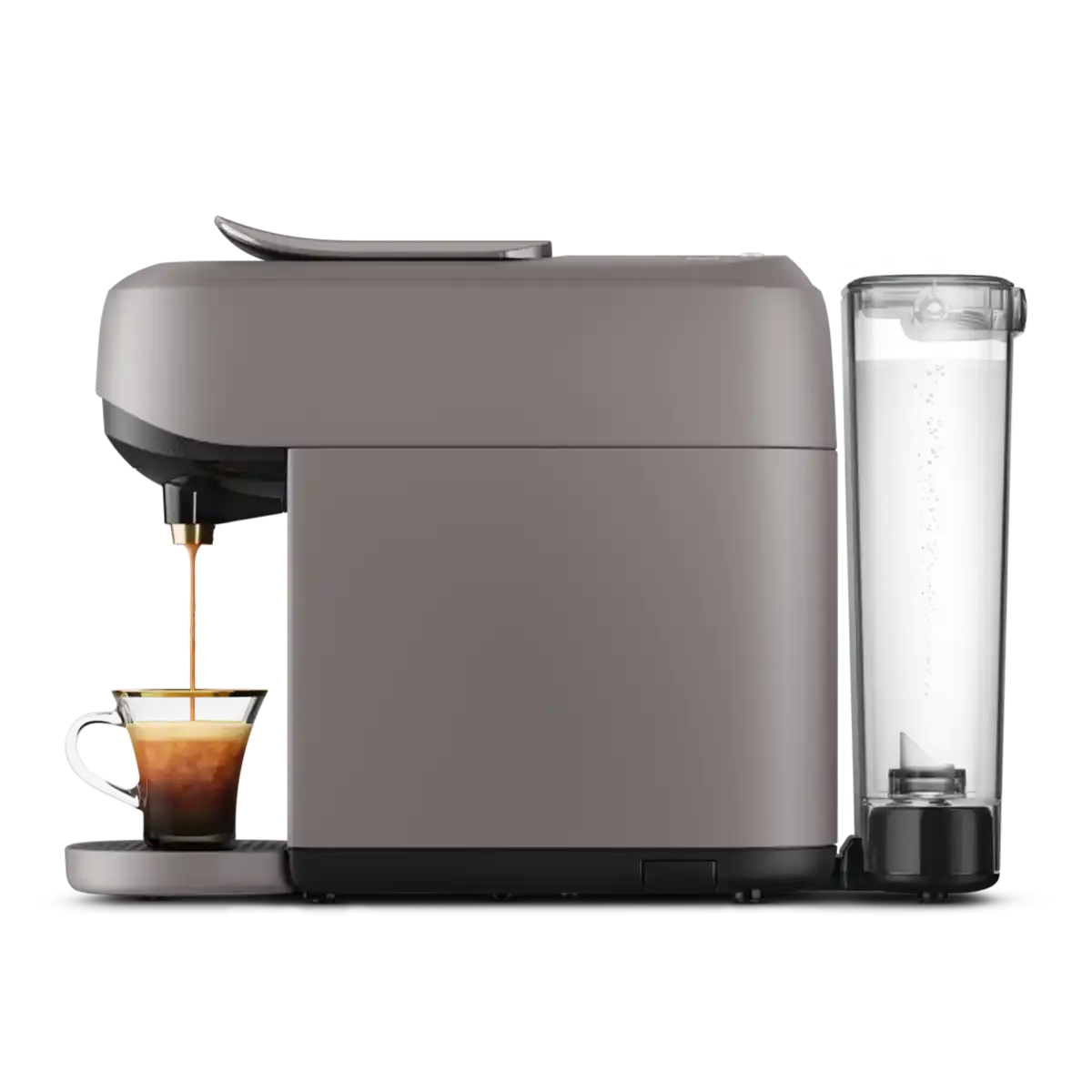 Barista Absolu