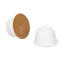 Sitronte\u0020